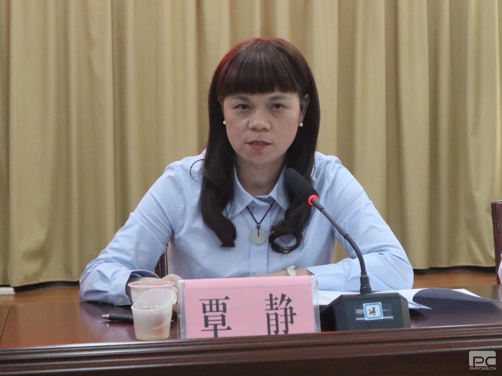 覃静座谈会上讲话.jpg